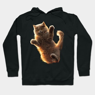 Catzilla Cat Wrath Hoodie